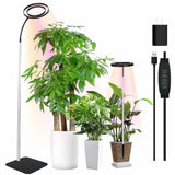 Indoor Plant Floor Growing Lamp Full Spectrum Plant Lamp - My Store
