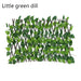 Little green dill