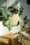 Nordic Wall Hanging Cement Hanging Flower Pot - My Store