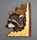 Raccoon head