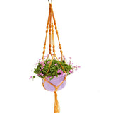 Wall hanging flower pot - My Store