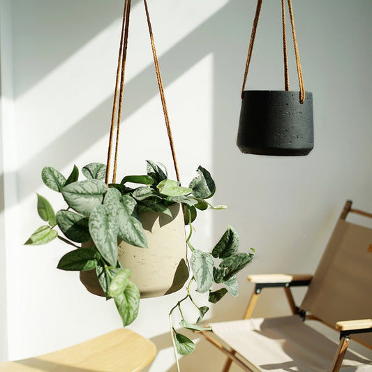 Nordic Wall Hanging Cement Hanging Flower Pot - My Store