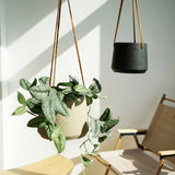 Nordic Wall Hanging Cement Hanging Flower Pot - My Store