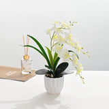 Bonsai Artificial Flowers Home Decor Ornaments - My Store