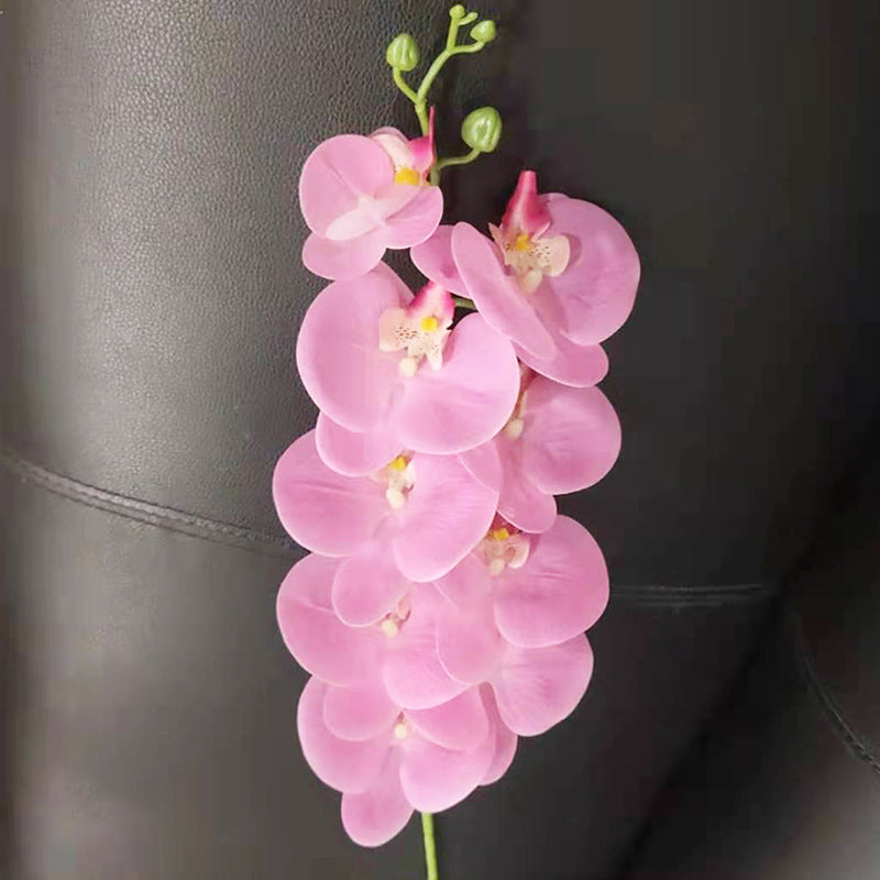 Single Film 9 Phalaenopsis Artificial Flowers - My Store