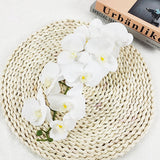 Single Film 9 Phalaenopsis Artificial Flowers - My Store