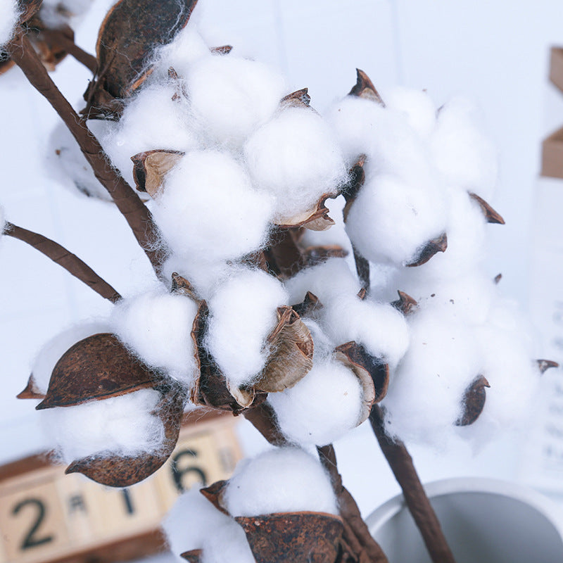 10 Natural Cotton Branch Artificial Flowers - My Store