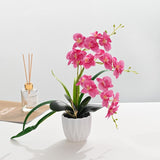 Bonsai Artificial Flowers Home Decor Ornaments - My Store