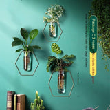 Vase Decoration Wall-mounted Hydroponic Flowerpot Hanging Wall Hanging - My Store