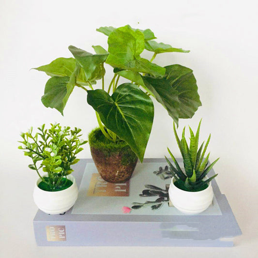 Artificial Green Plants Potted Artificial Flowers Small Ornaments - My Store