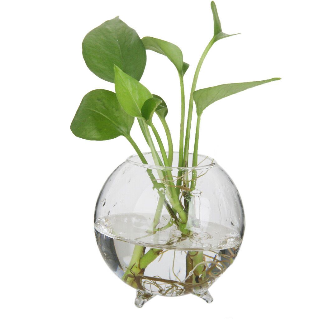 Hanging Utensils Hanging Wall Glass Flower Pots - My Store