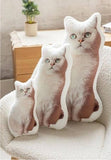 DIY Customized Irregular-shaped Throw Pillows - My Store