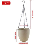 Hanging Wall Hanging Flower Pot Chlorophytum Comosum - My Store