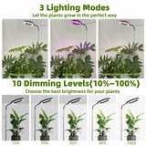 Indoor Plant Floor Growing Lamp Full Spectrum Plant Lamp - My Store