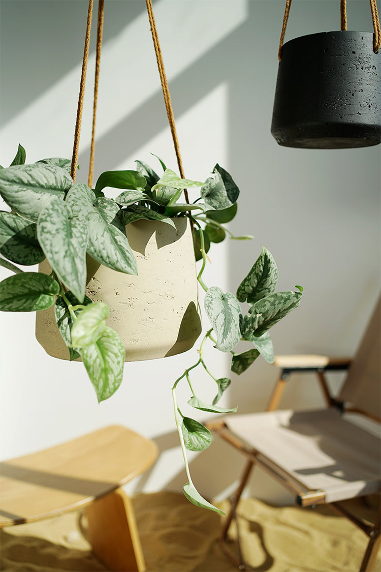 Nordic Wall Hanging Cement Hanging Flower Pot - My Store