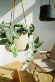 Nordic Wall Hanging Cement Hanging Flower Pot - My Store