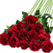 10cm Bloom Dark Red