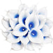 White With A Blue Heart