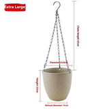 Hanging Wall Hanging Flower Pot Chlorophytum Comosum - My Store