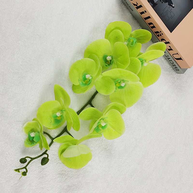 Single Film 9 Phalaenopsis Artificial Flowers - My Store