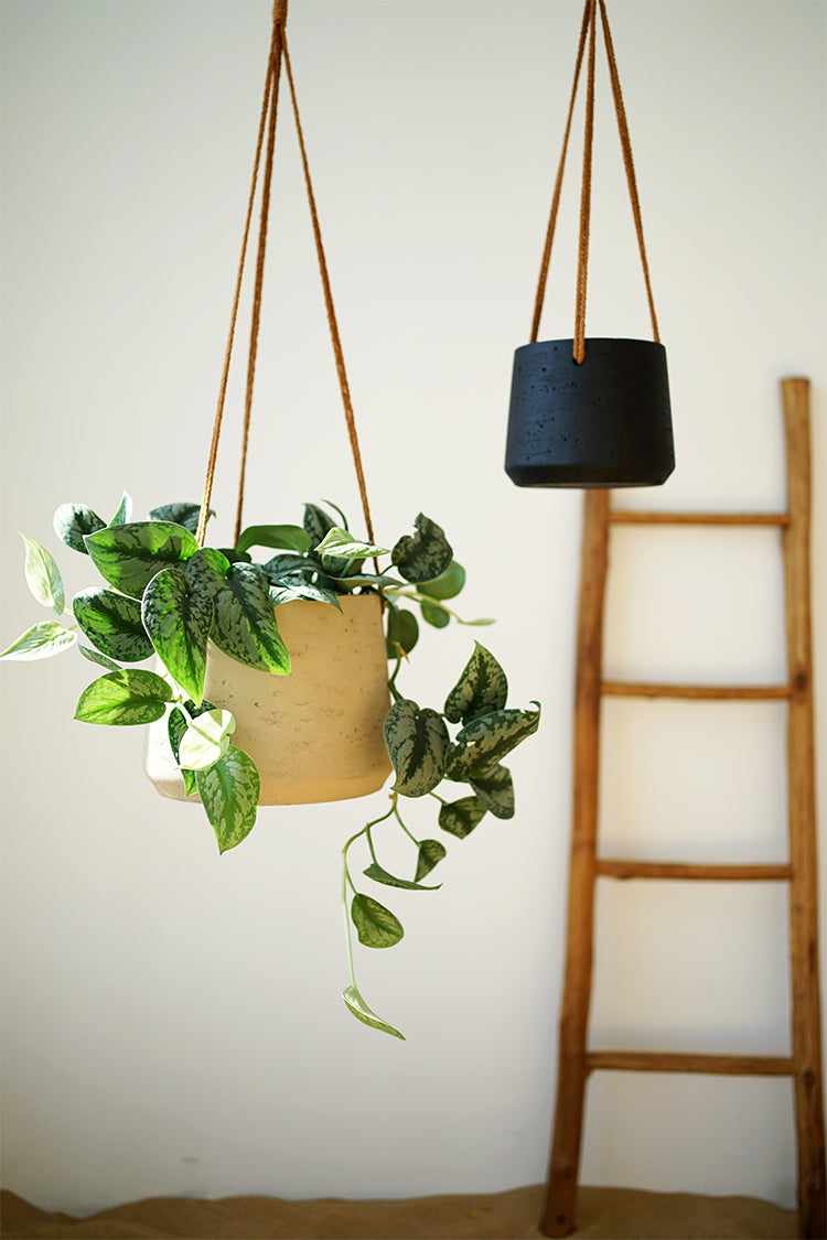 Nordic Wall Hanging Cement Hanging Flower Pot - My Store
