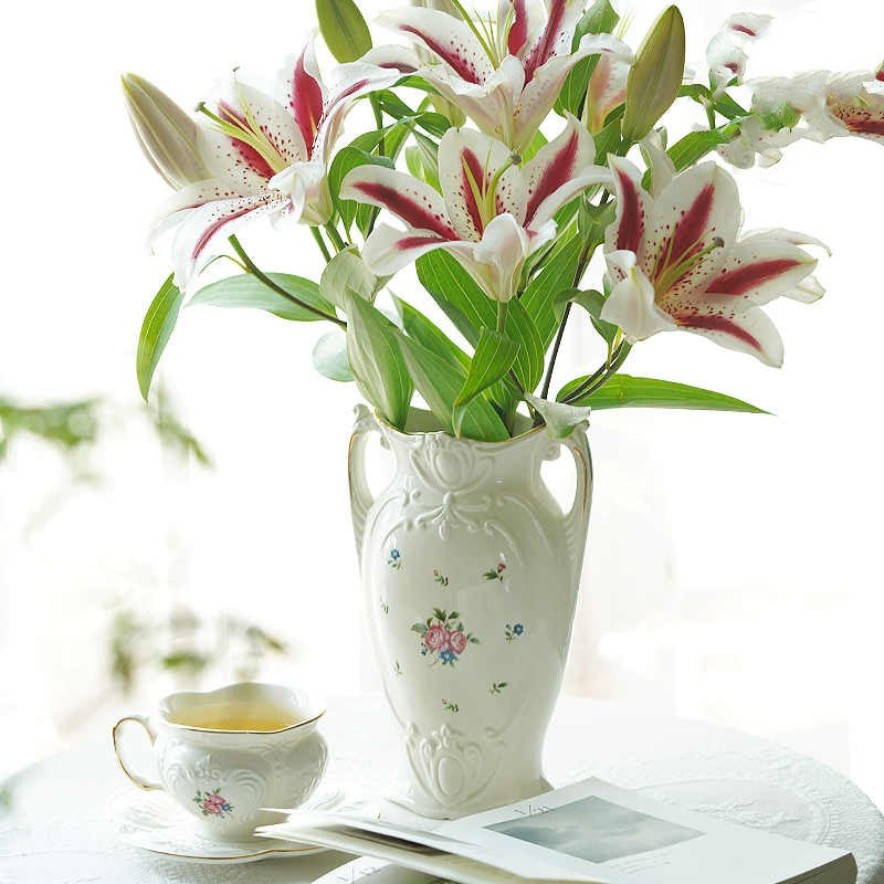 Flower Vases Can Be Used For Hydroponic Arrangements - My Store