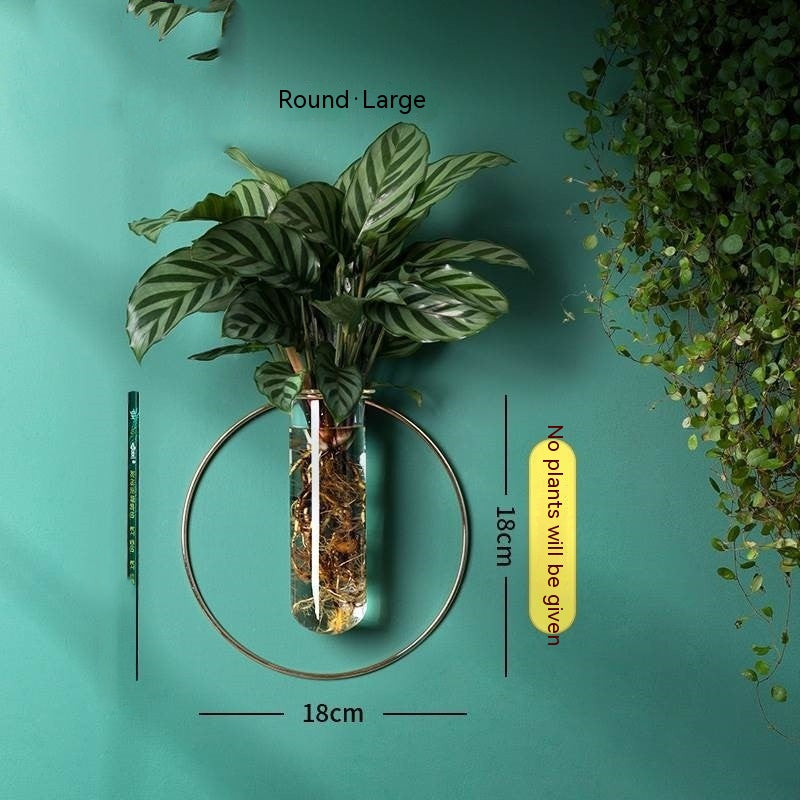 Vase Decoration Wall-mounted Hydroponic Flowerpot Hanging Wall Hanging - My Store