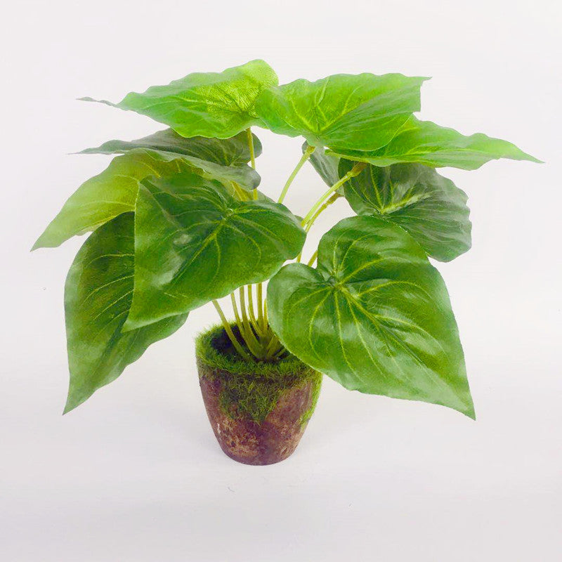 Artificial Green Plants Potted Artificial Flowers Small Ornaments - My Store