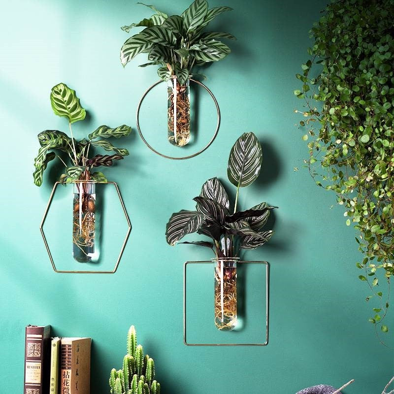 Vase Decoration Wall-mounted Hydroponic Flowerpot Hanging Wall Hanging - My Store