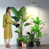 Indoor Plant Floor Growing Lamp Full Spectrum Plant Lamp - My Store