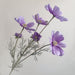 Lavender Purple