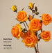 3 yellow colors