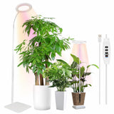 Indoor Plant Floor Growing Lamp Full Spectrum Plant Lamp - My Store
