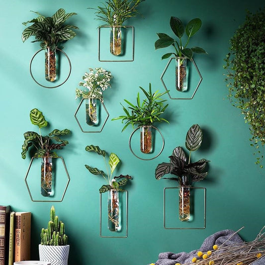 Vase Decoration Wall-mounted Hydroponic Flowerpot Hanging Wall Hanging - My Store