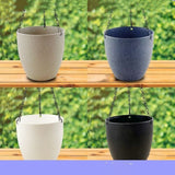Hanging Wall Hanging Flower Pot Chlorophytum Comosum - My Store