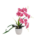 Bonsai Artificial Flowers Home Decor Ornaments - My Store