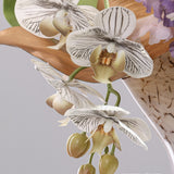 Modern, Light-luxury Glass Flower Vases For Floral Arrangements - My Store