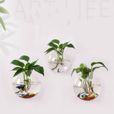Hanging Utensils Hanging Wall Glass Flower Pots - My Store